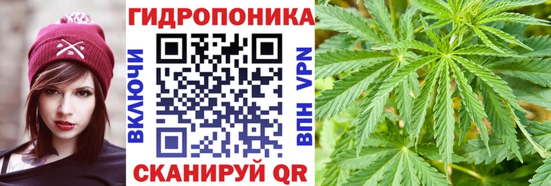Конопля Amnesia  где можно купить   MEGA ТОР  Черноголовка 